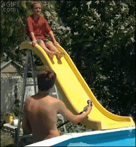 24431_017.gif