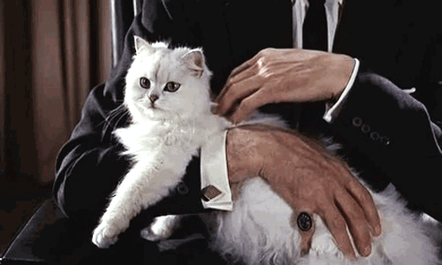 tumblr_leu3ljKftr1qeegbeo1_r1_500.gif