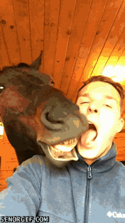 23751_010.gif