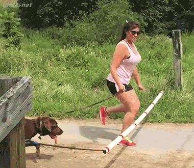 hornoxe.com_gifdump217_28.gif