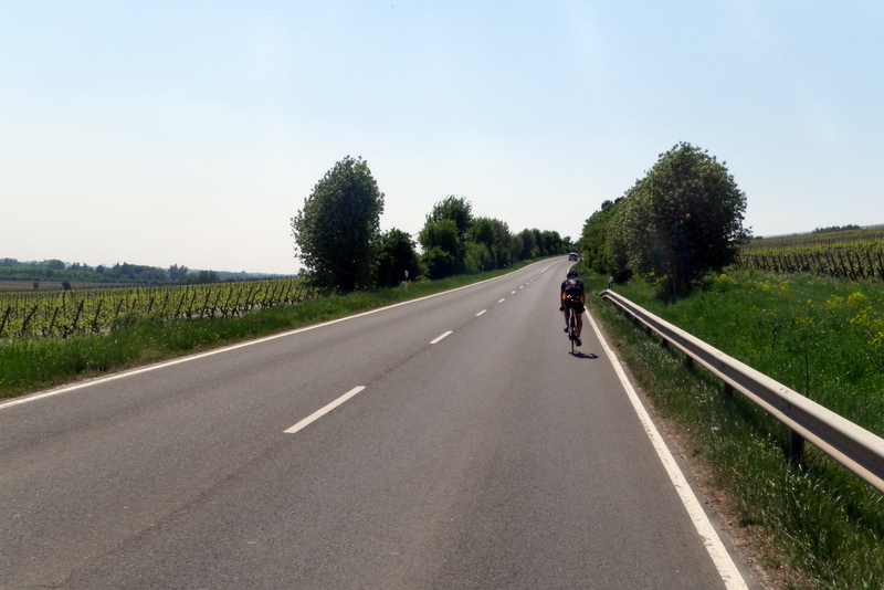 IMGP0634.JPG
