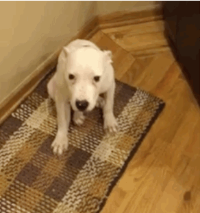 daily_gifdump_983_15.gif