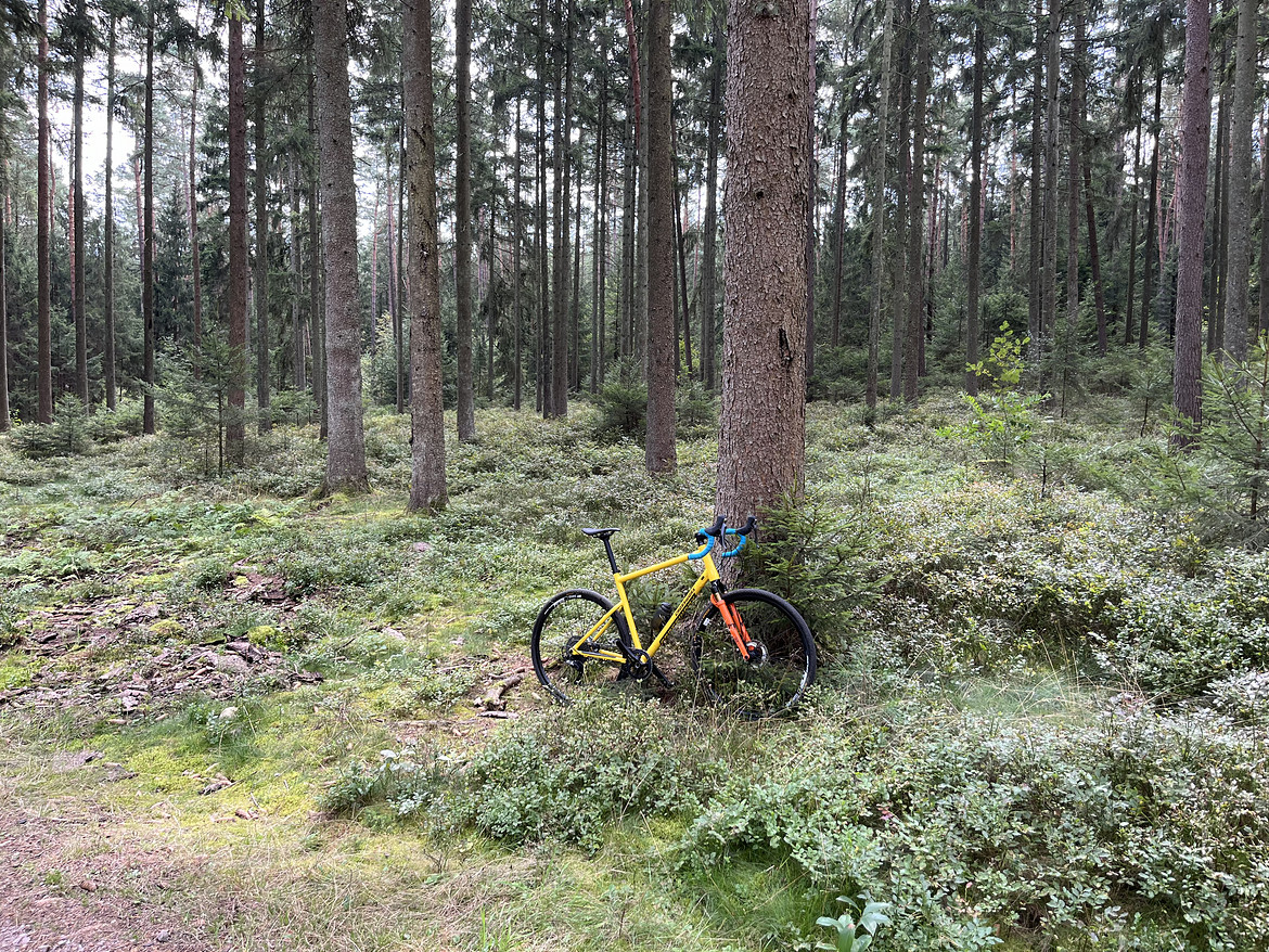 2821397-mcu6cxexeeii-ride280_10-large.jpg