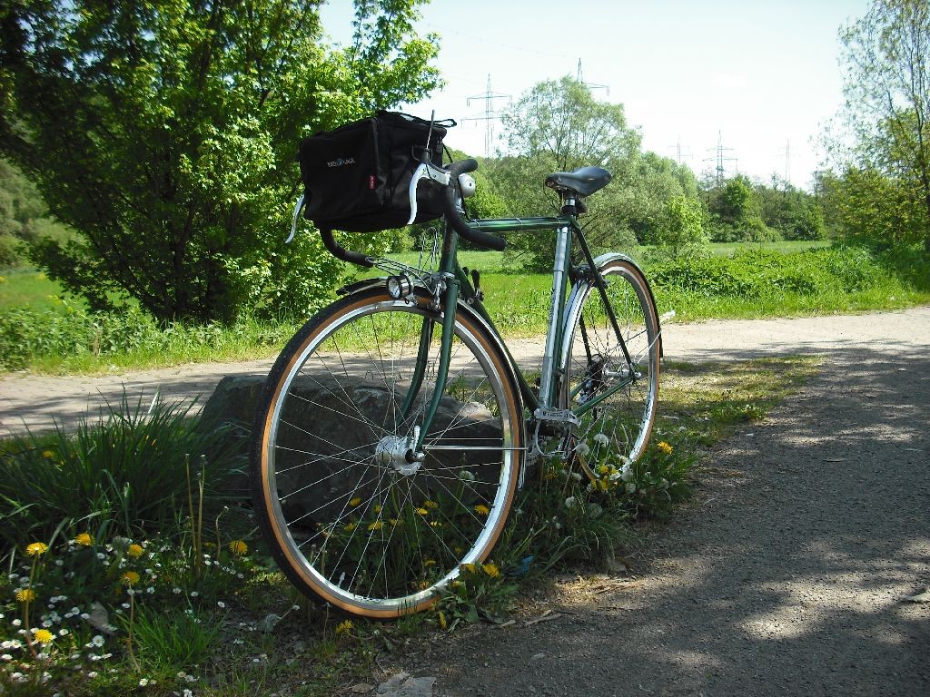 Gitane1.5.2011009.JPG