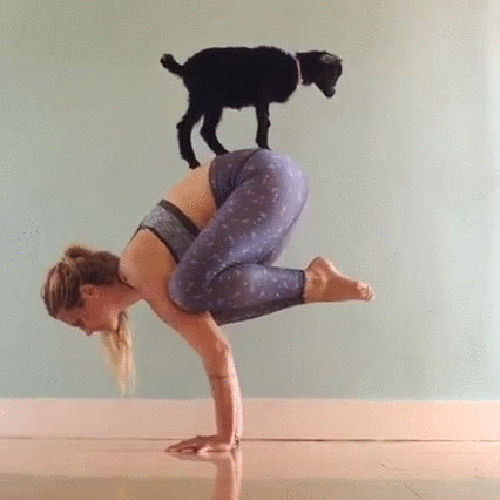 10.gif
