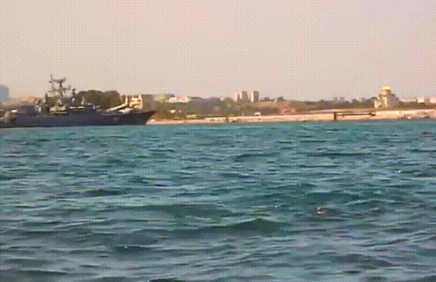 02.gif