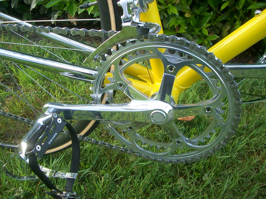 IMGP4916.JPG