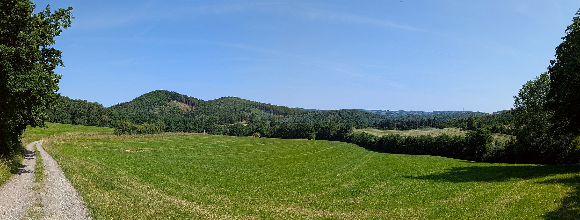 636965-9jp8na3spdy3-2025_06_2110_58_25__stitch-original.jpg