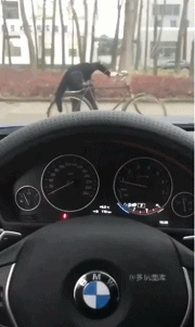 28.gif
