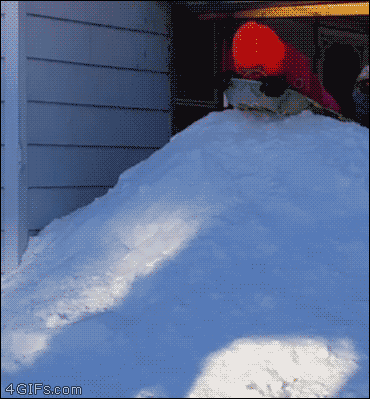 26207_012.gif
