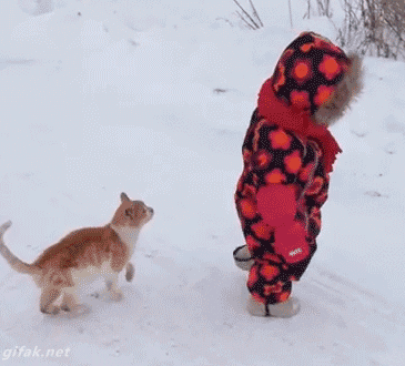hornoxe.com_gifdump180_1.gif