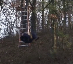 17.gif