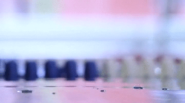 animated_gifs_146-006.gif