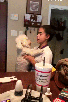 hornoxe.com_gifdump297_17.gif