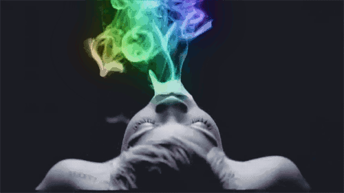 tumblr_mga0s9y02D1r0s4g8o1_500.gif