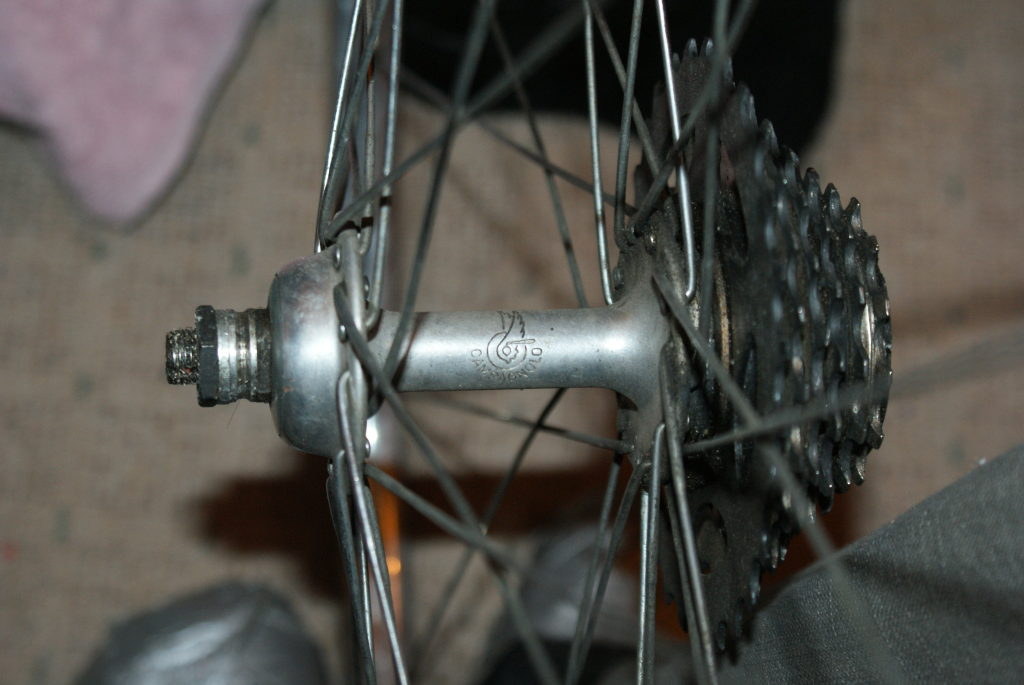 DSC02762.JPG