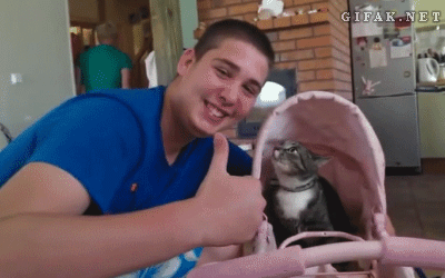 28.gif