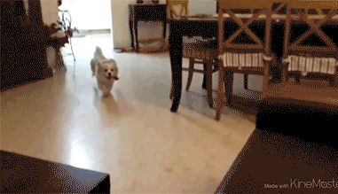 tumblr_n3mwhnNAB61r3gb3zo1_400.gif