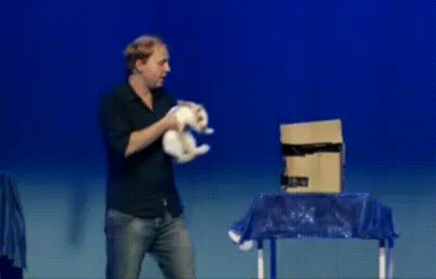 3.gif