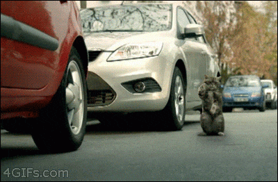 hornoxe.com_gifdump234_29.gif