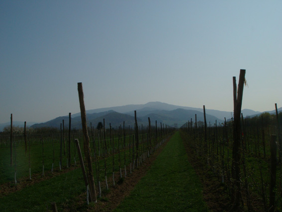 DSC03730_s.jpg
