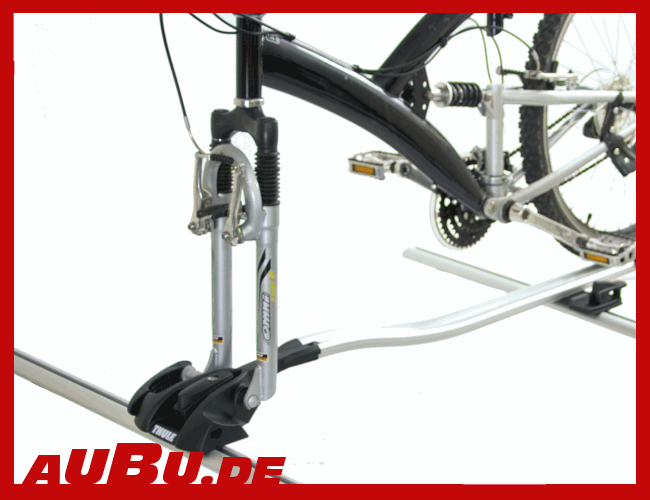 561-thule-gross.gif