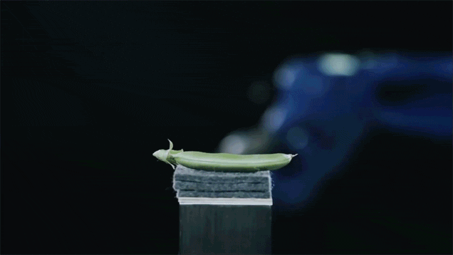 tumblr_npgu70Y5YB1qz5rbko1_1280.gif