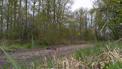 trim-20210430-191451-gif.1262242