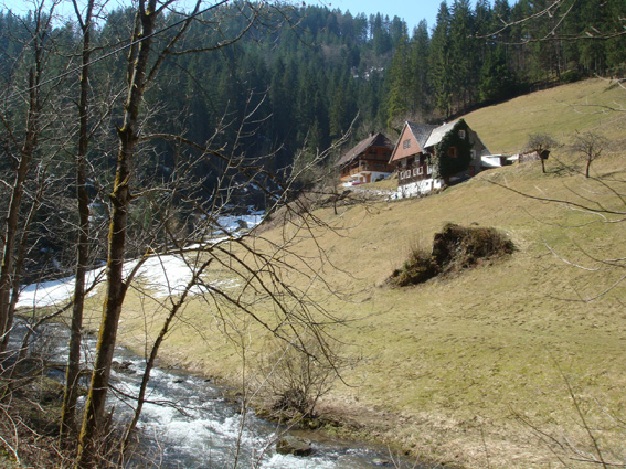 DSC03743_s.jpg