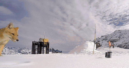 animated_gifs_167-009.gif