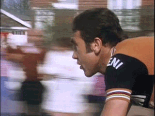 tumblr_n0mehuiFa61rhxstwo1_400.gif