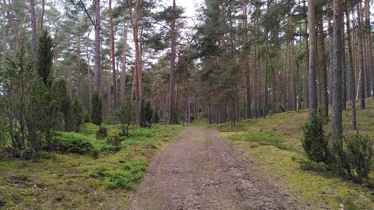 2569467-ikijklqqbe1b-img_20210612_171840-original.jpg