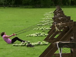 200.gif