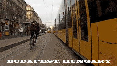 06.gif