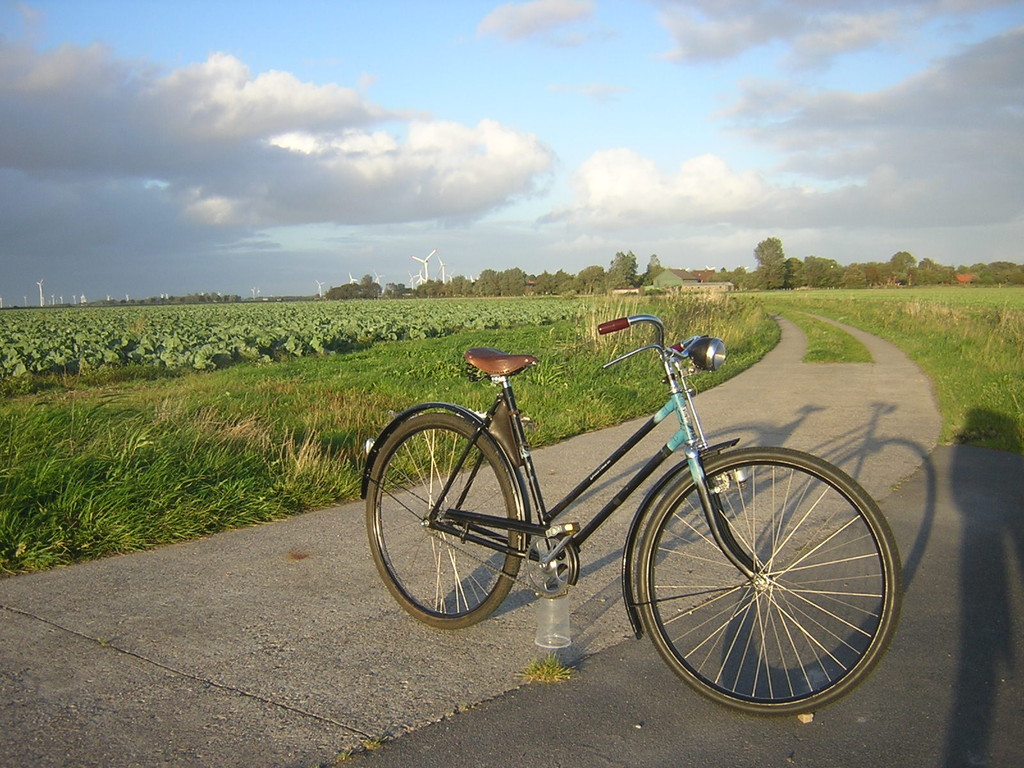 DSCN5051.JPG