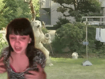 1419048381938-gif.197481