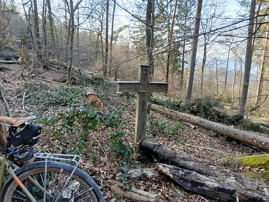 2858947-iaoepk9frwh7-1000001370-medium.jpg