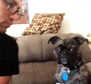 tumblr_mwjhlqAOdH1sqdk2yo1_400.gif
