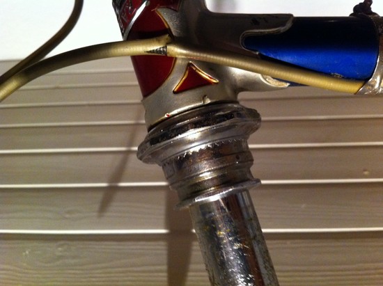 Foto4.JPG