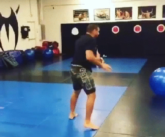 47.gif