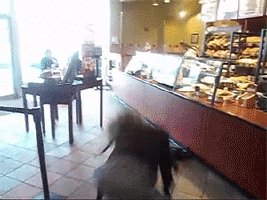 hornoxe.com_gifdump201_19.gif