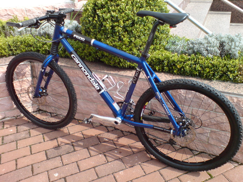 Cannondale3.JPG