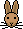 hasi.gif