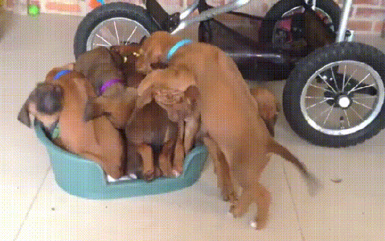 10.gif