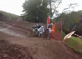 giphy.gif
