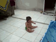 17.gif