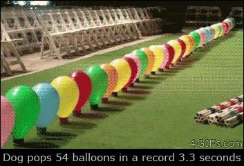 46.gif