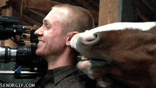 18.gif