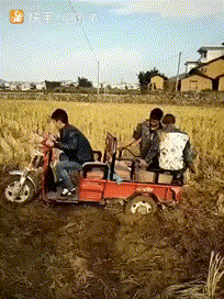 06.gif