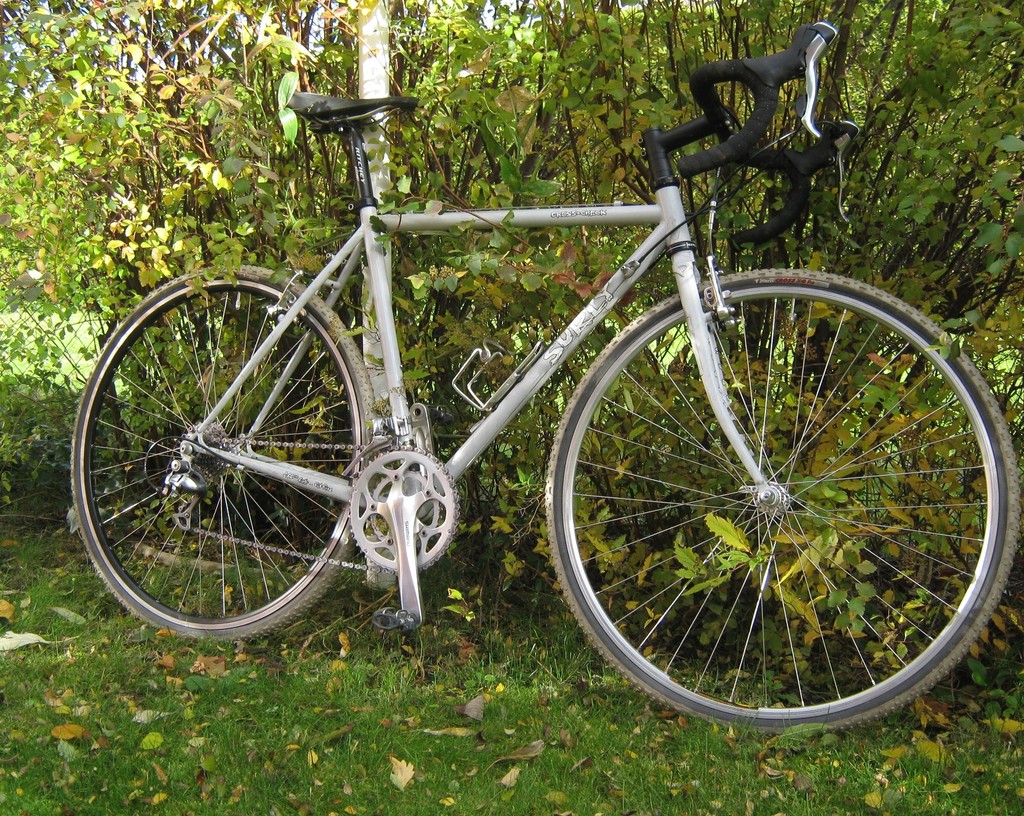 1010Surly01.JPG